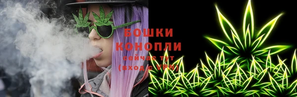 ешки Гусев