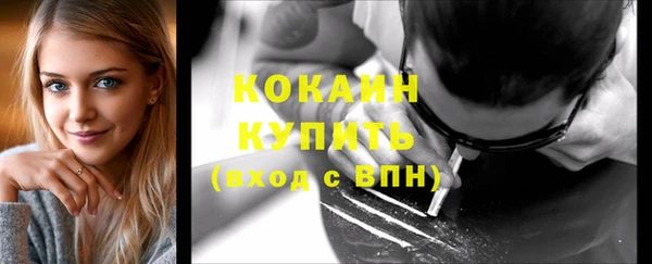 гидропоника Гусь-Хрустальный