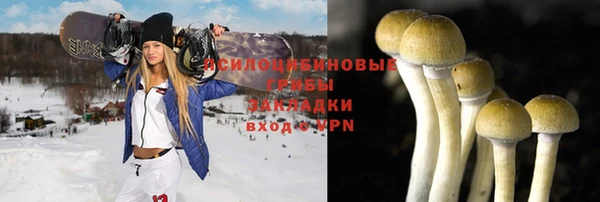 ешки Гусев