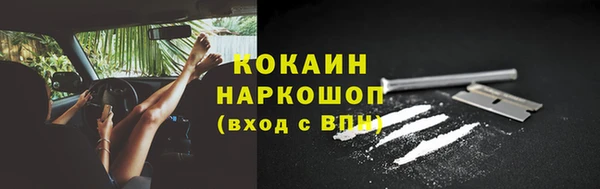ешки Гусев