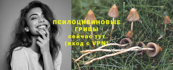 мескалин Гусиноозёрск