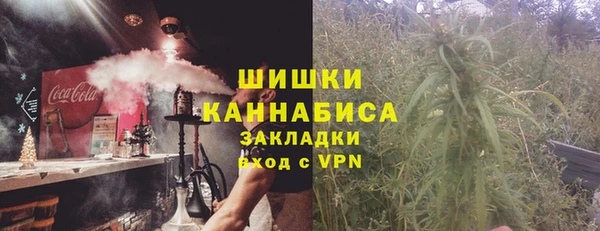 ешки Гусев