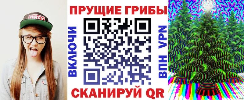 Галлюциногенные грибы Psilocybe  Купить где  Альметьевск 